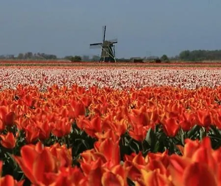 Vakantieverblijf Aan De Dijk * Hippolytushoef