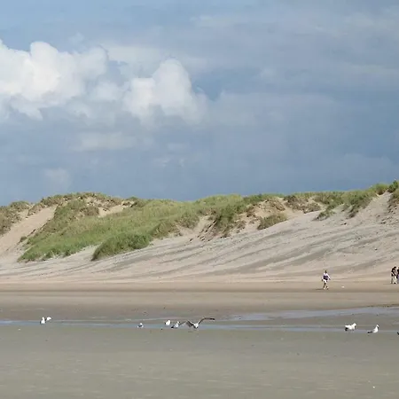 Vakantiepark Vakantieverblijf Aan De Dijk Hippolytushoef